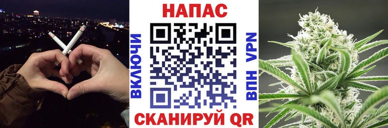 Купить закладки  Куровское  Бошки Шишки AK-47 